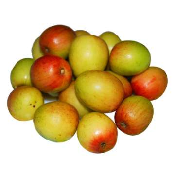 Boroi (Applekul)