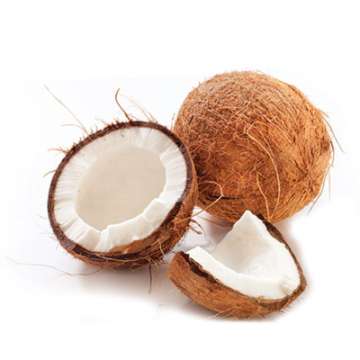 Coconut
