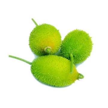 Kakrol
