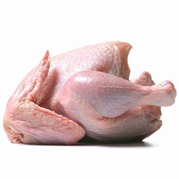 Broiler Chicken Meat